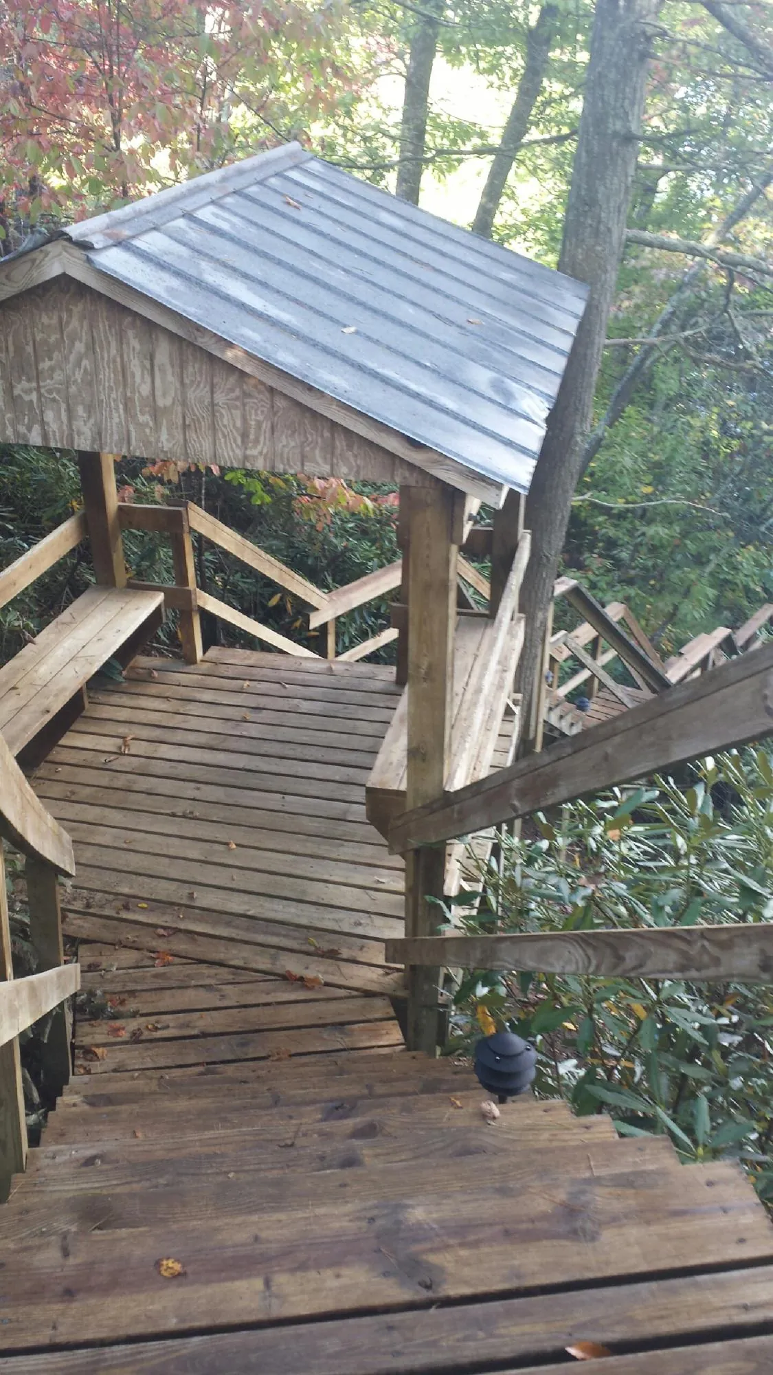 Metal roofed shelter over wooden steps on a wooded walkway — Skylight Repair & Installation work by our crew in Trezevant